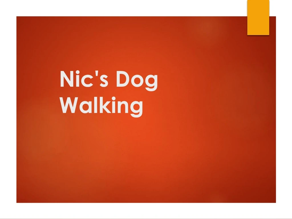 nic s dog walking n.