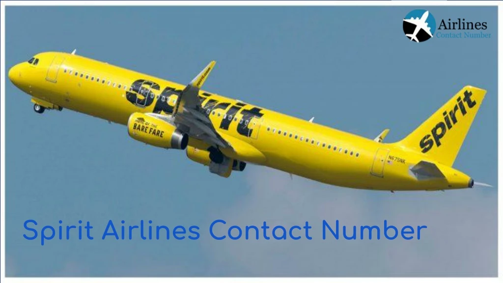 spirit airlines contact number n.