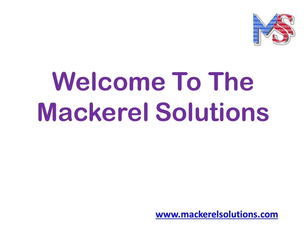 welcome to the mackerel solutions n.