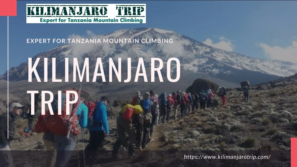 expert for tanzania mountain climbing n.