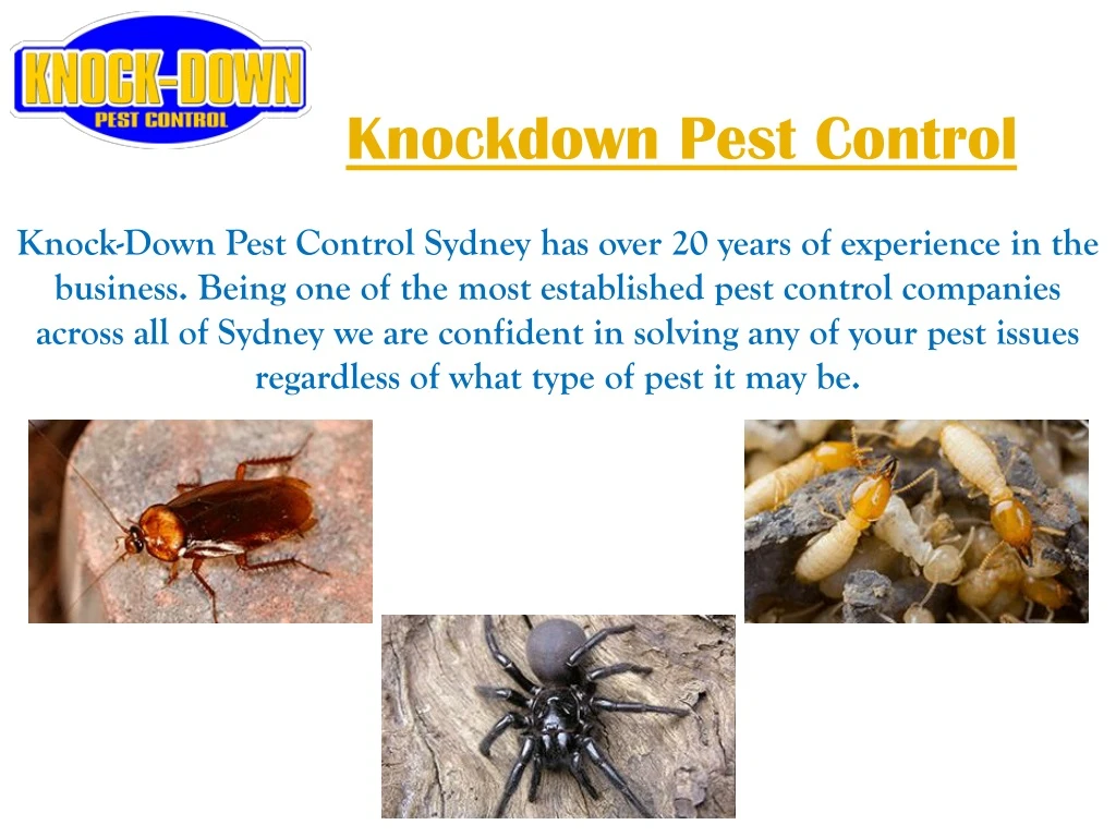 knockdown pest control n.