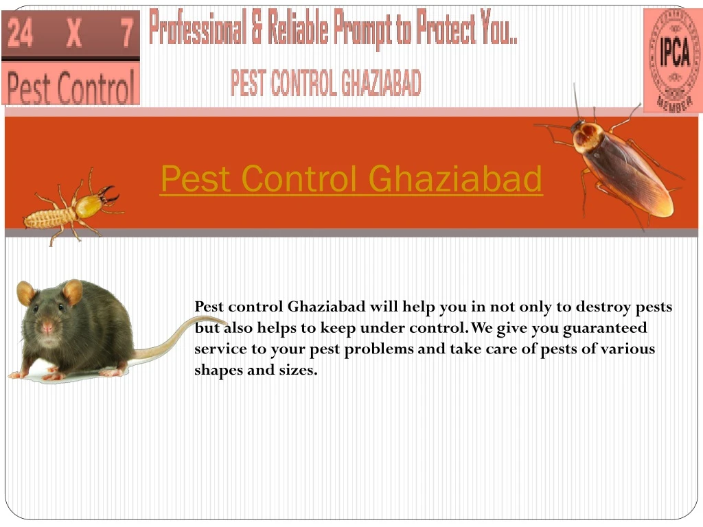 pest control ghaziabad n.