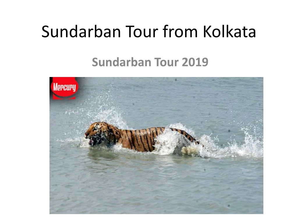sundarban tour from kolkata n.