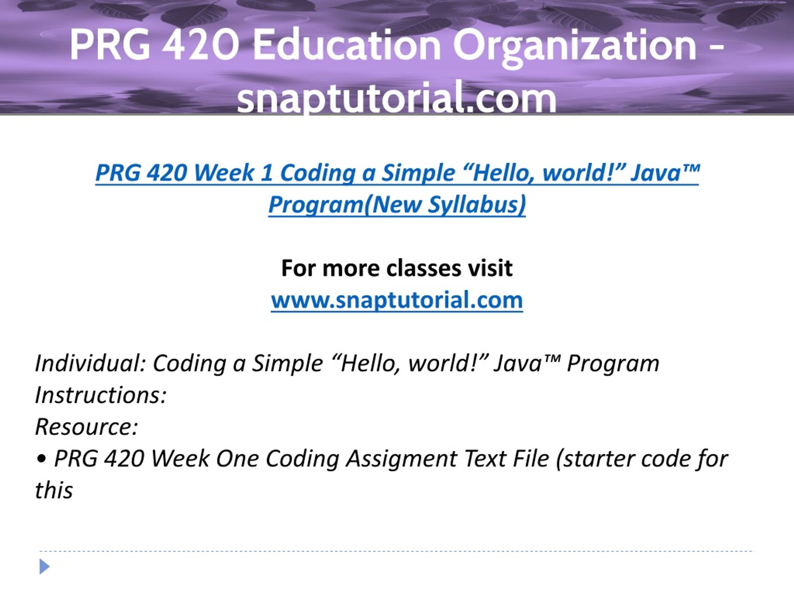 prg420week1 Images High Quality Grahic PPT - PRG 420 Education Organization-snaptutorial.com PowerPoint ...