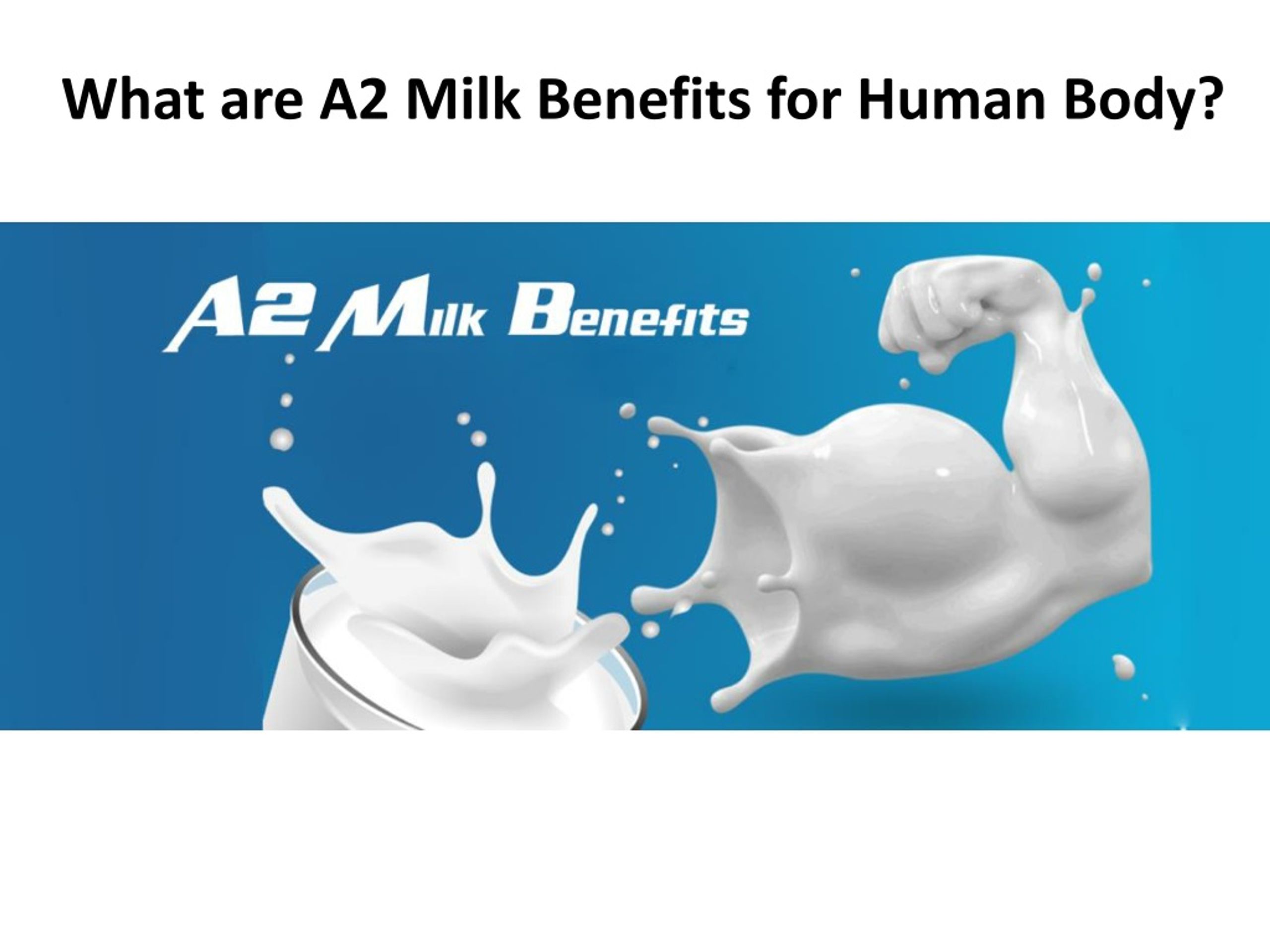 PPT - What Are A2 Milk Benefits For Human Body? | GFO Farming ...