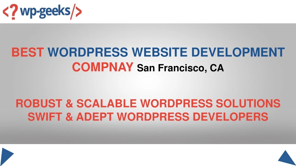 best wordpress website development compnay n.