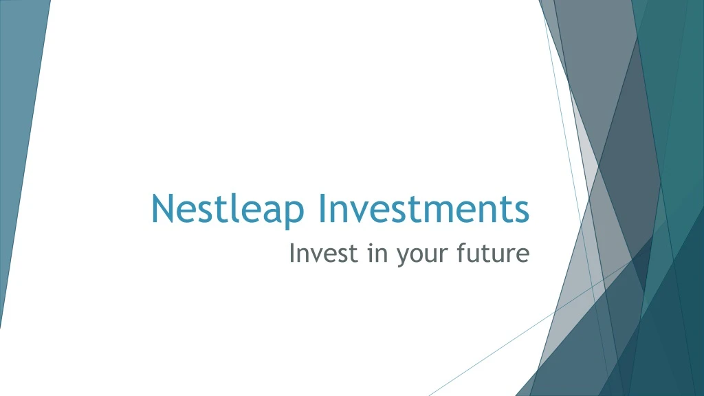 nestleap investments n.