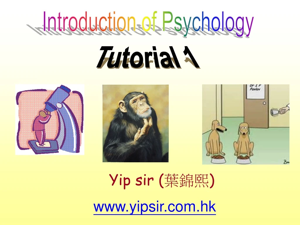 introduction of psychology n.