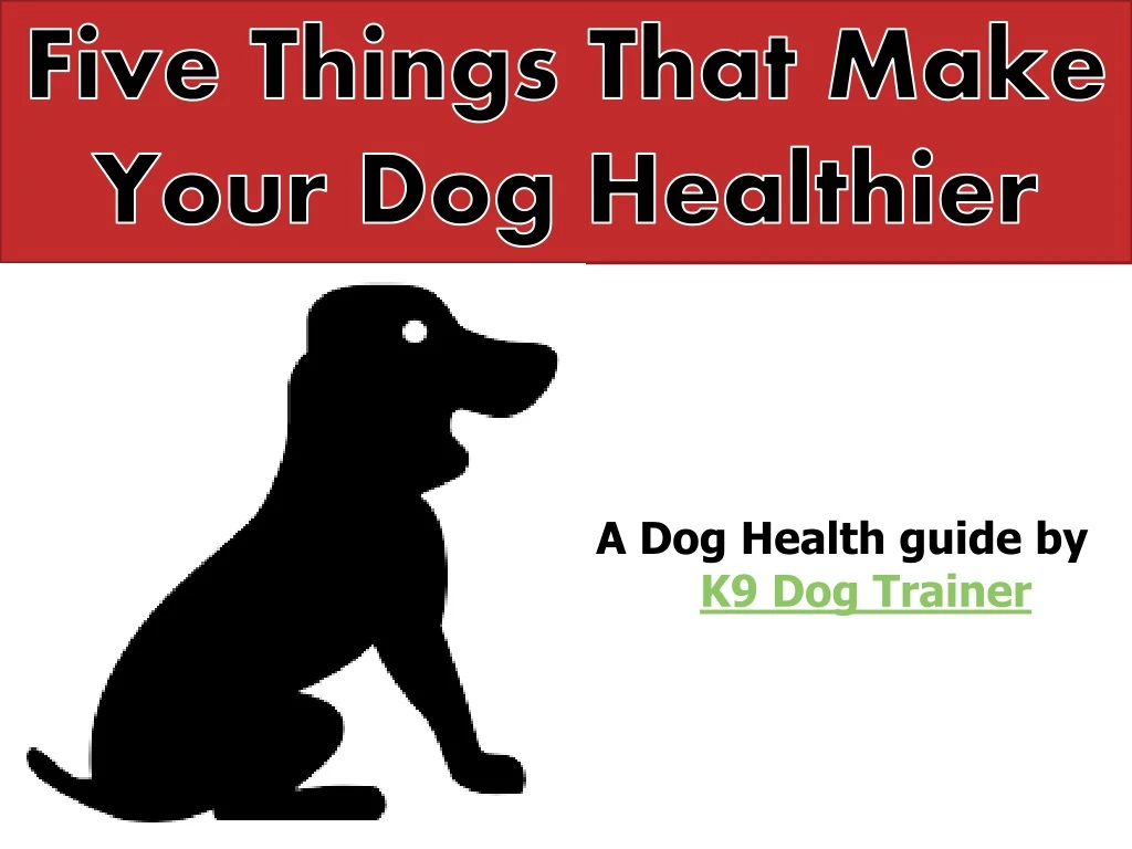 five things that make your dog healthier n.