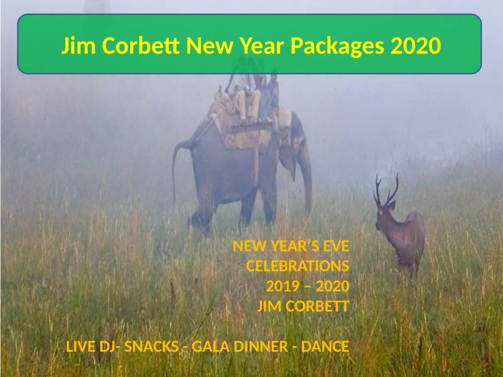 jim corbett new year packages 2020 n.