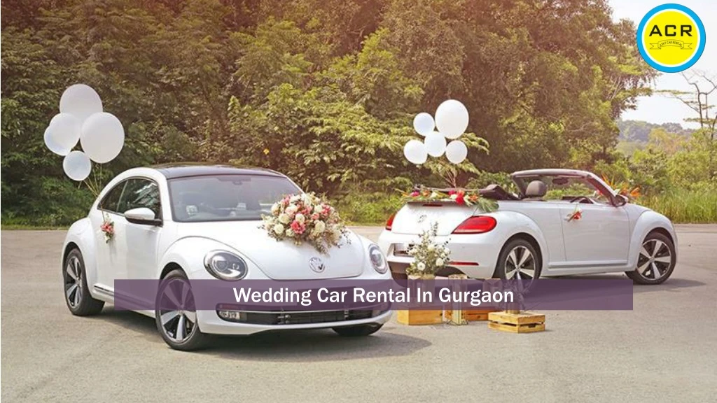 wedding car rental in gurgaon n.