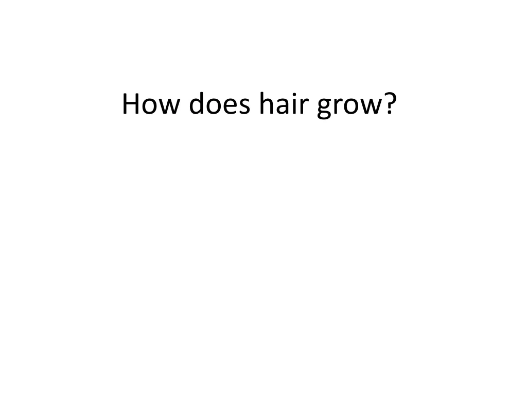 PPT How does hair grow? PowerPoint Presentation, free download ID