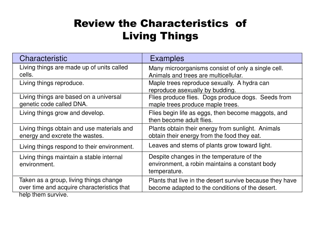review the characteristics of living things n.
