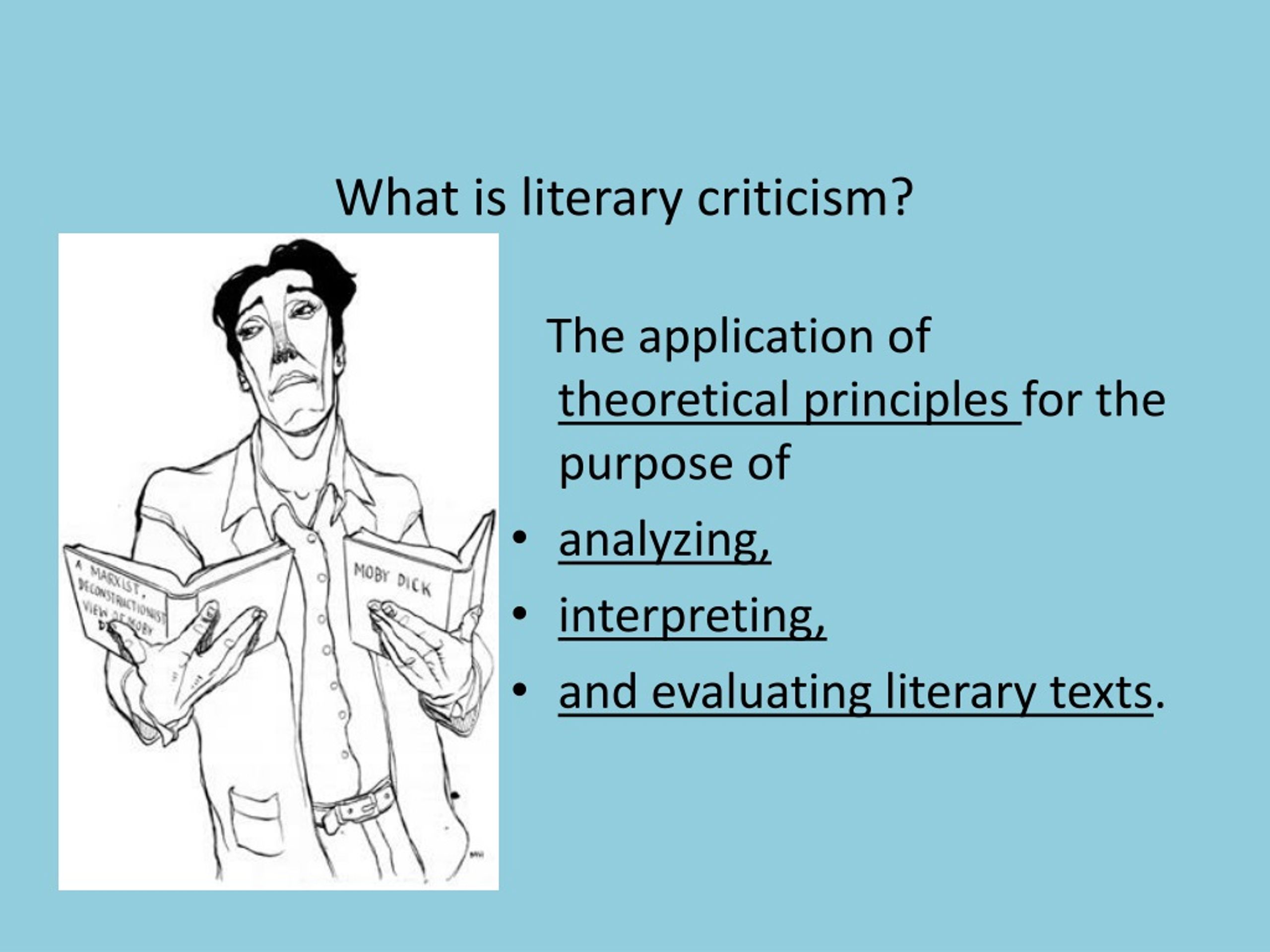 what is literature criticism