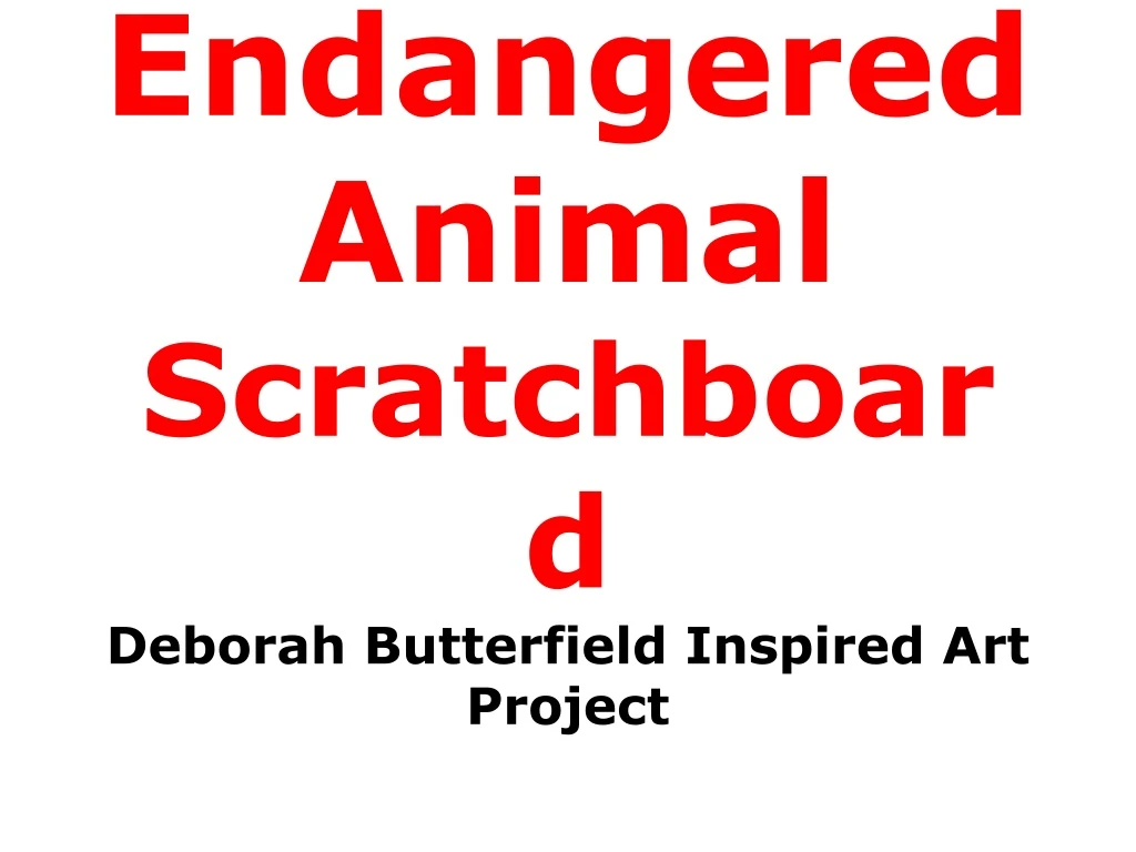 endangered animal scratchboard deborah butterfield inspired art project n.