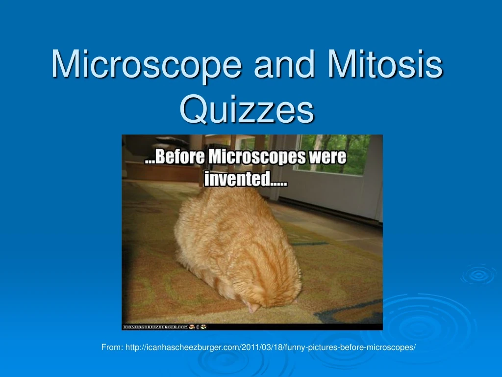 microscope and mitosis quizzes n.