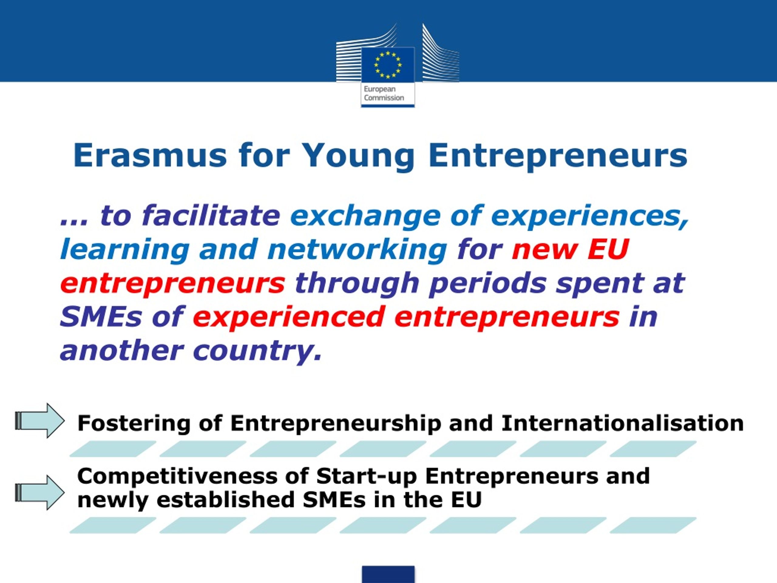 erasmus young entrepreneurs business plan