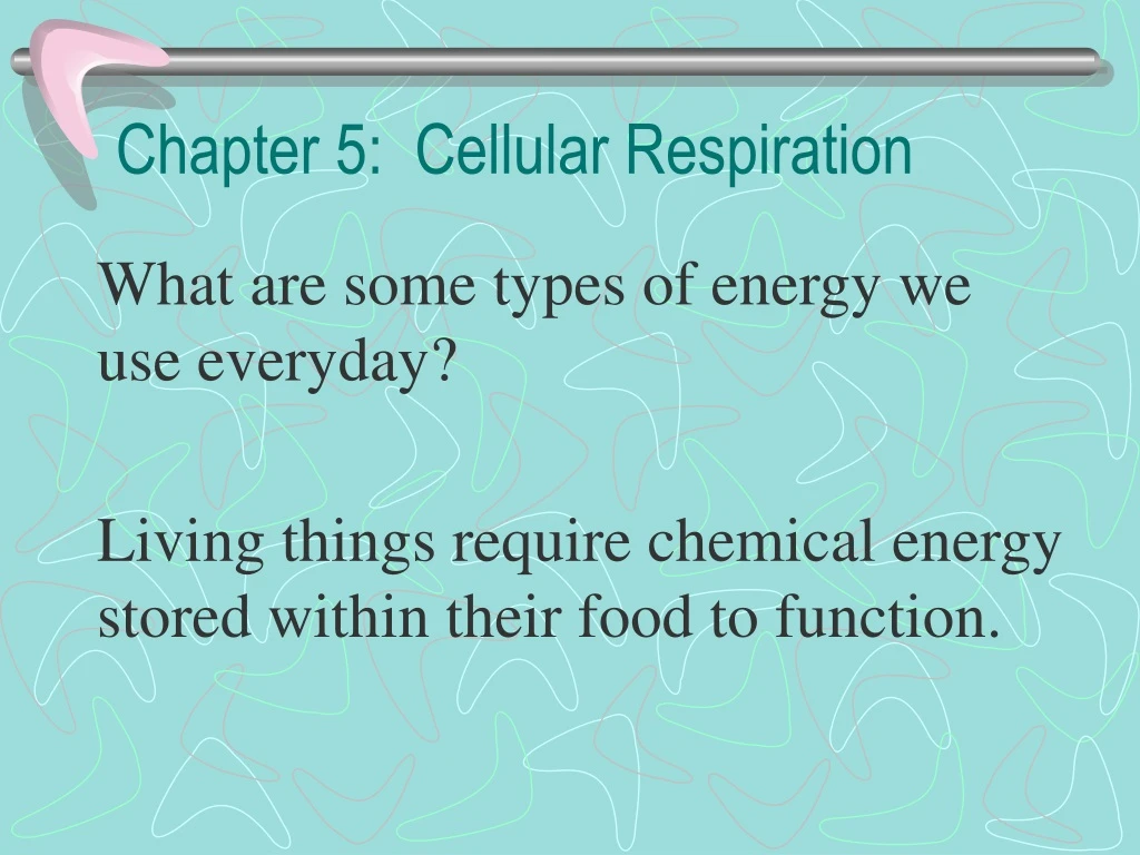 chapter 5 cellular respiration n.