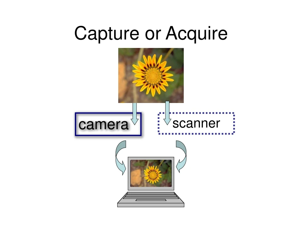 capture or acquire n.