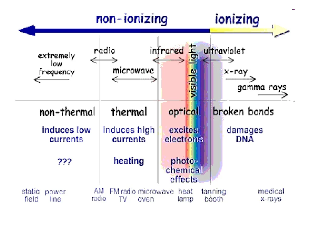 slide1 n.