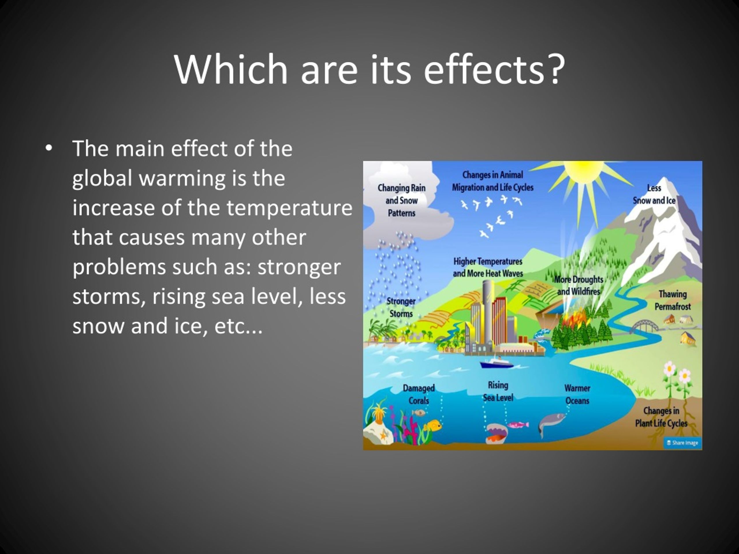 Effects of global warming. Презентация глобальное потепление на английском языке. Causes and Effects of Global warming. Global warming and its Effects. Презентация по английскому языку глобальные потепления.