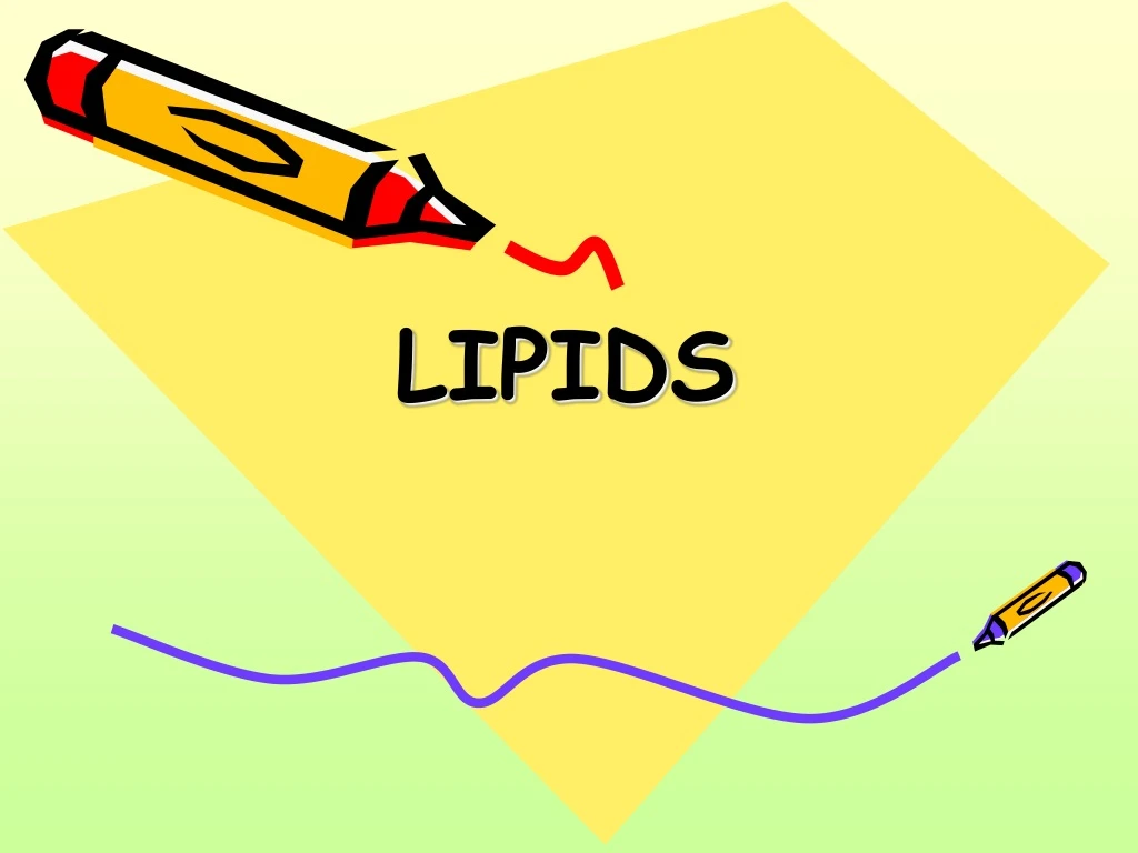 l ipids n.