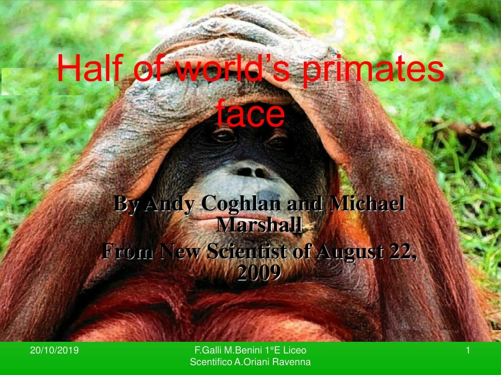 half of world s primates face n.