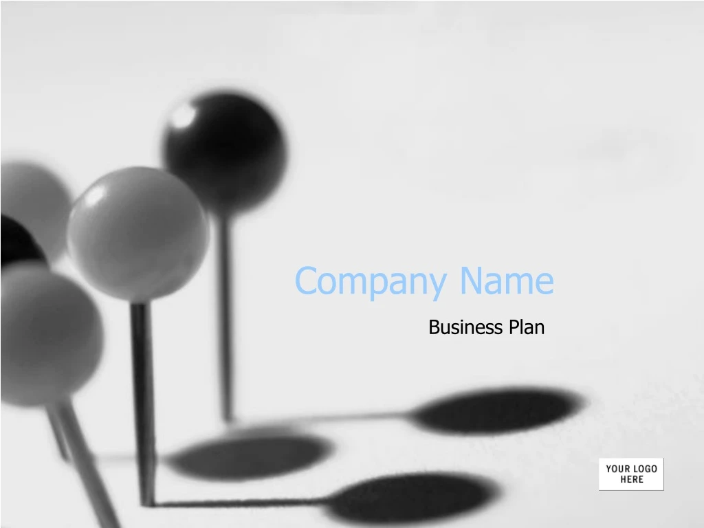 company name n.