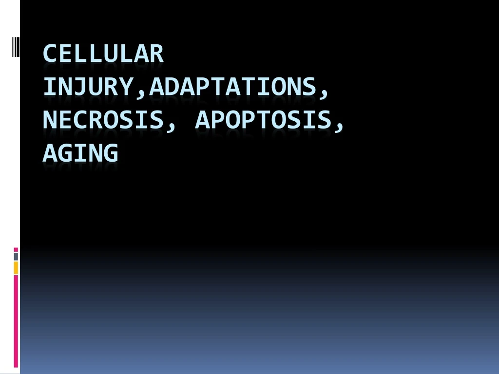 cellular injury adaptations necrosis apoptosis aging n.