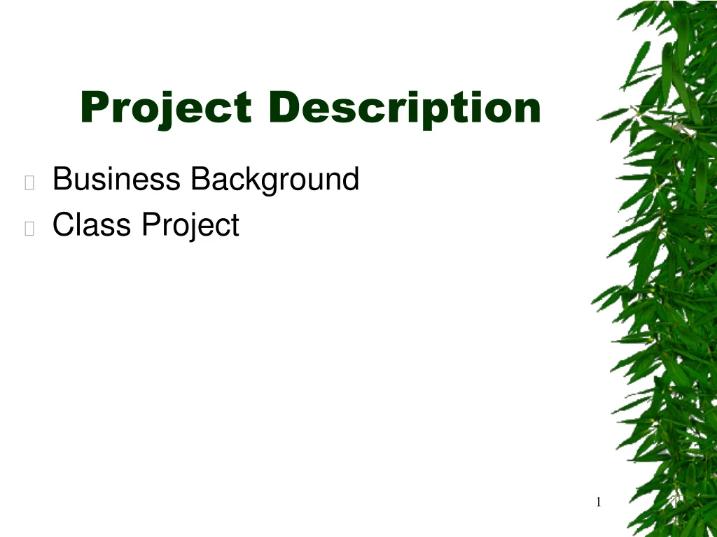 project description n.