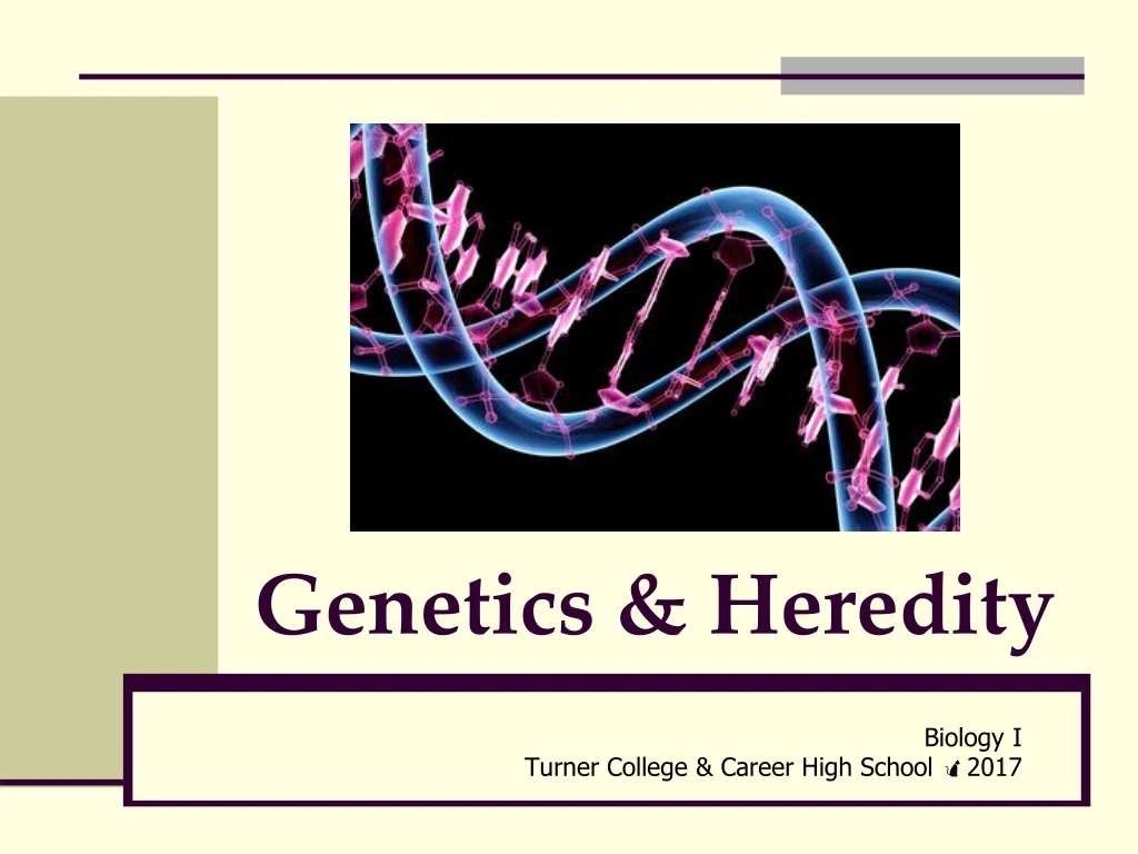 Ppt Genetics And Heredity Powerpoint Presentation Free Download Id 