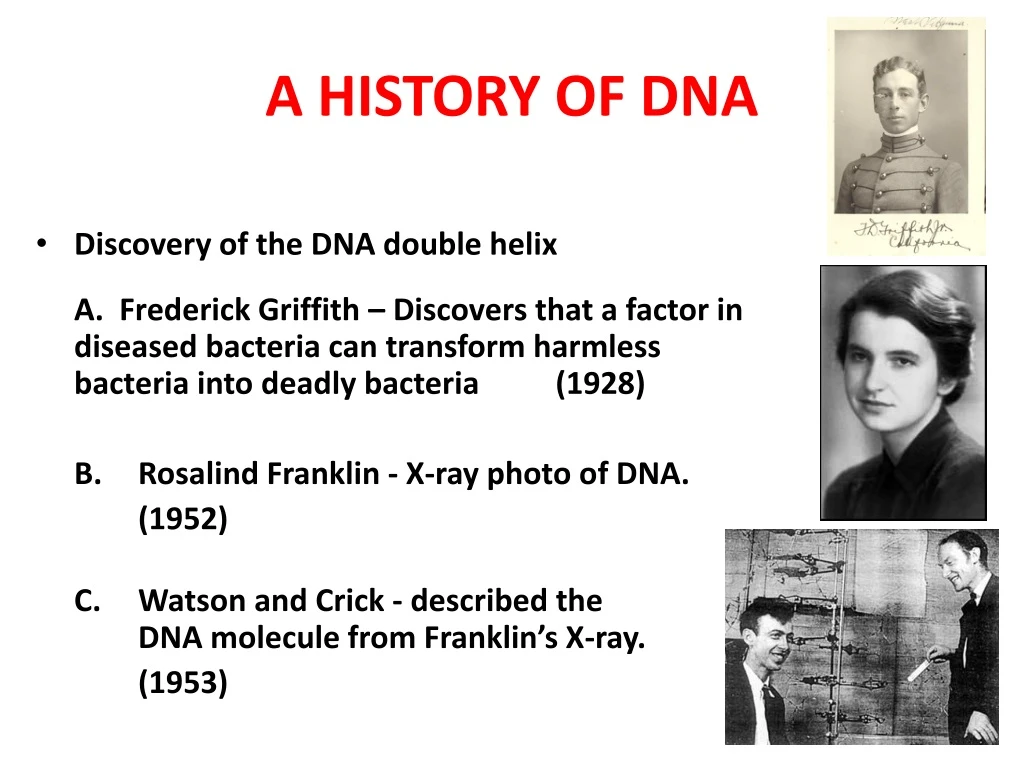 a history of dna n.