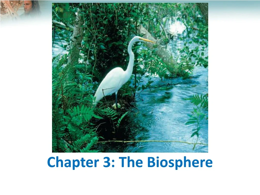 PPT - Chapter 3: The Biosphere PowerPoint Presentation, Free Download ...