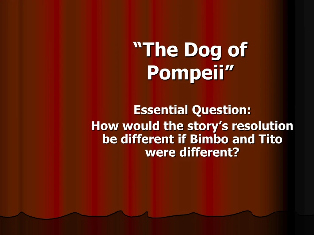 the dog of pompeii n.
