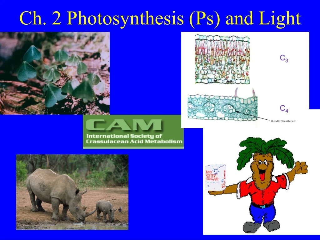 ch 2 photosynthesis ps and light n.