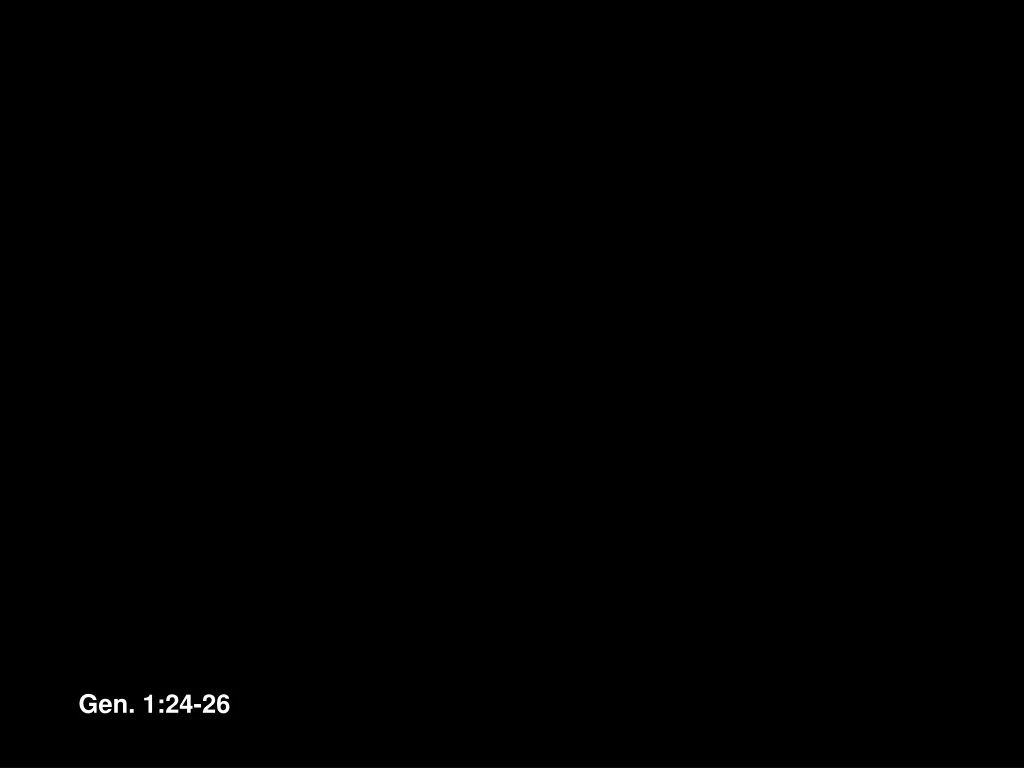 gen 1 24 26 n.