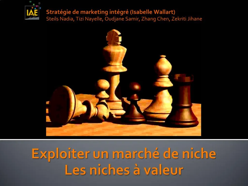 PPT - Exploiter Un March De Niche Les Niches Valeur PowerPoint ...