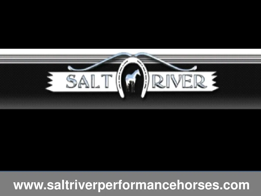 www saltriverperformancehorses com n.