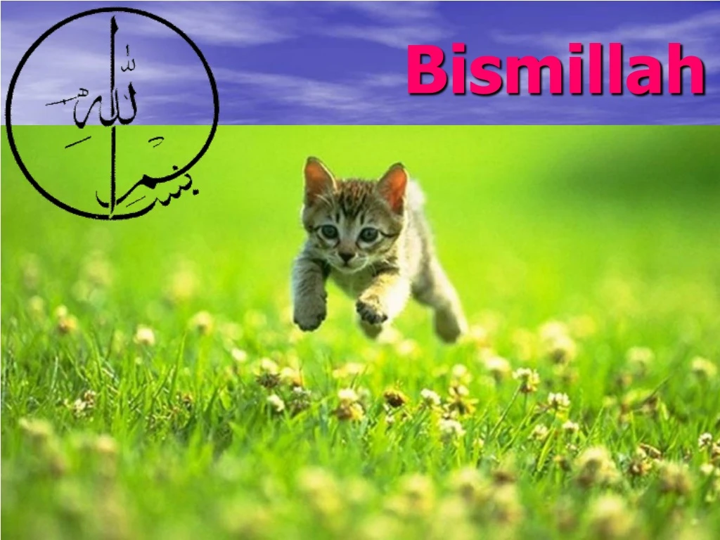 bismillah n.