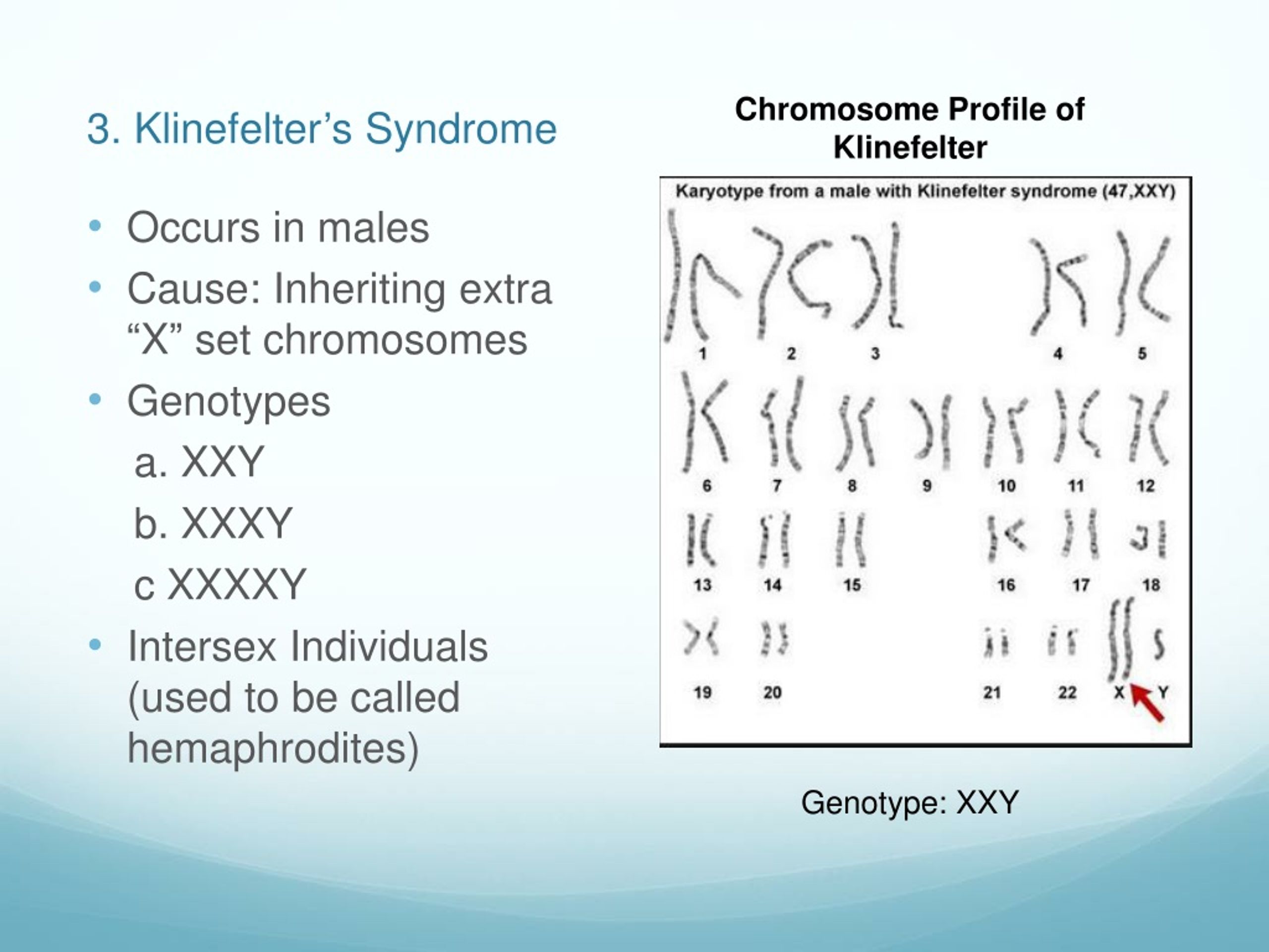 PPT - Chromosomal Disorders & Karyotyping PowerPoint Presentation - ID ...