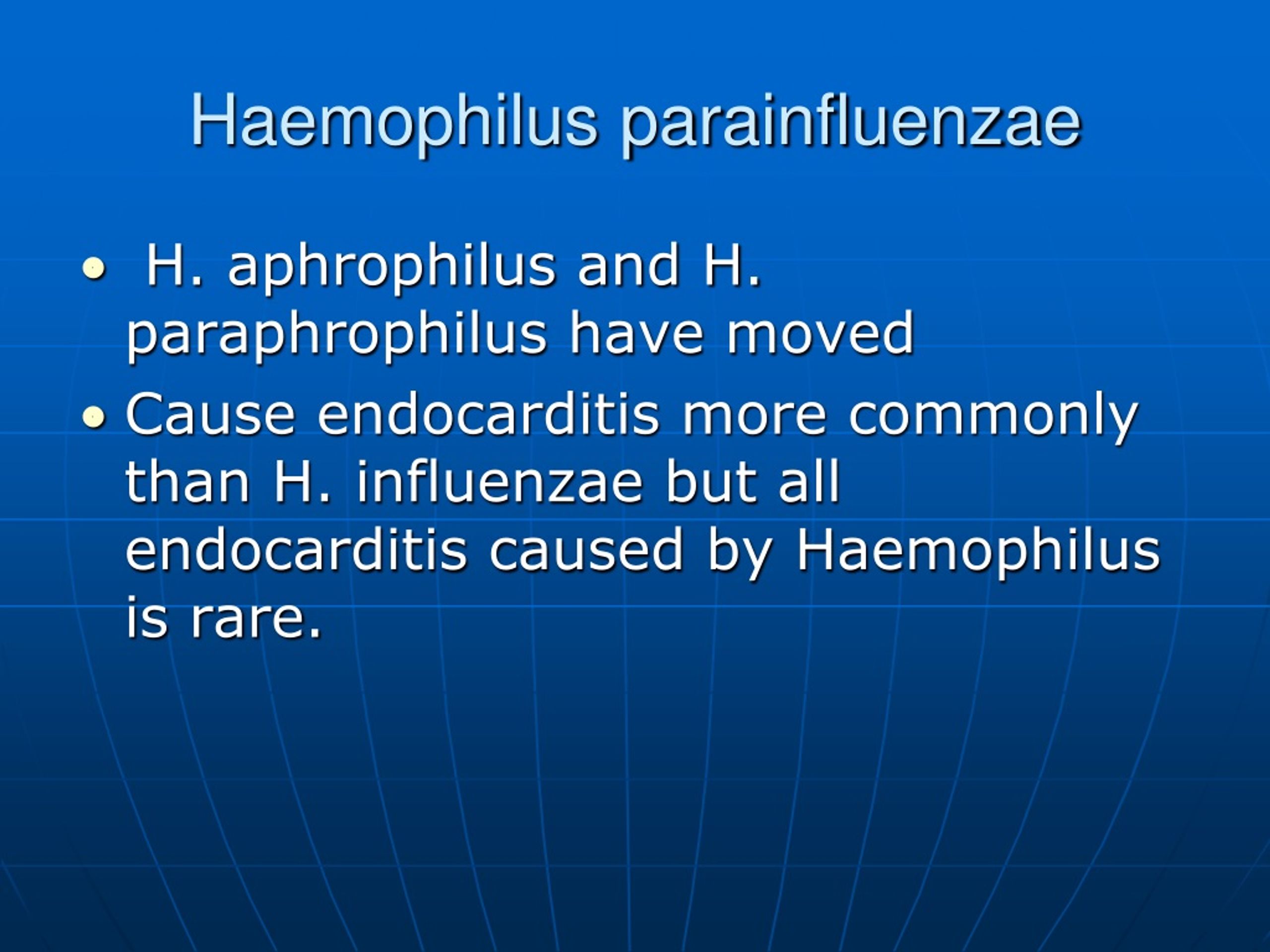 Haemophilus influenzae 10