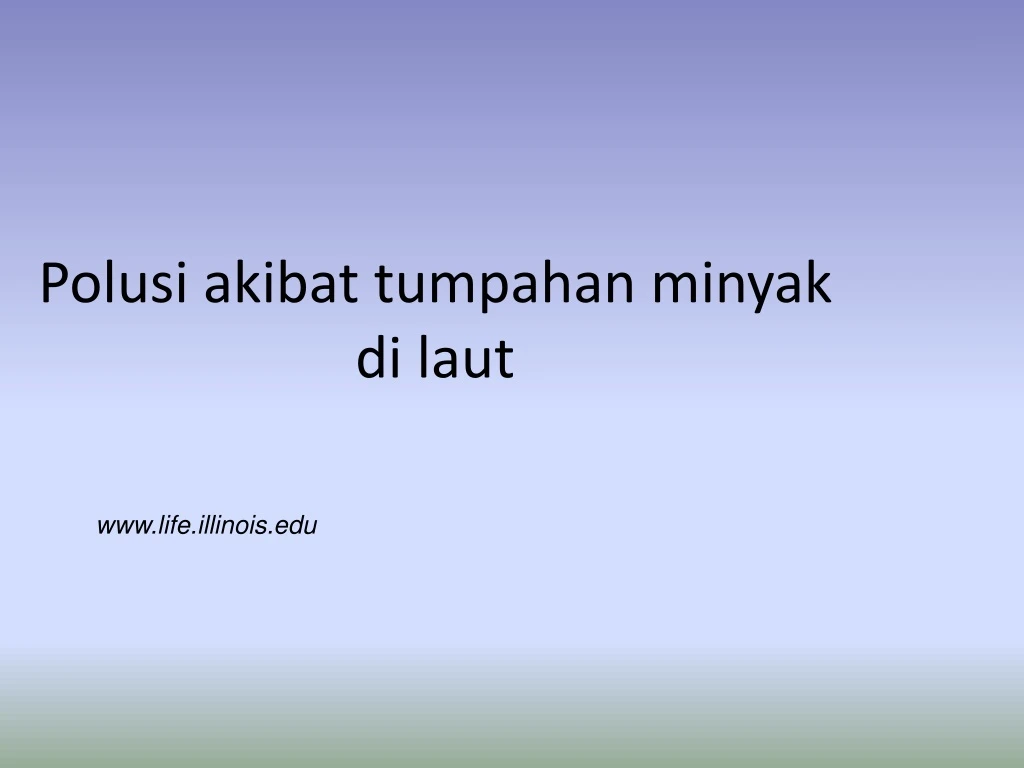 polusi akibat tumpahan minyak di laut n.