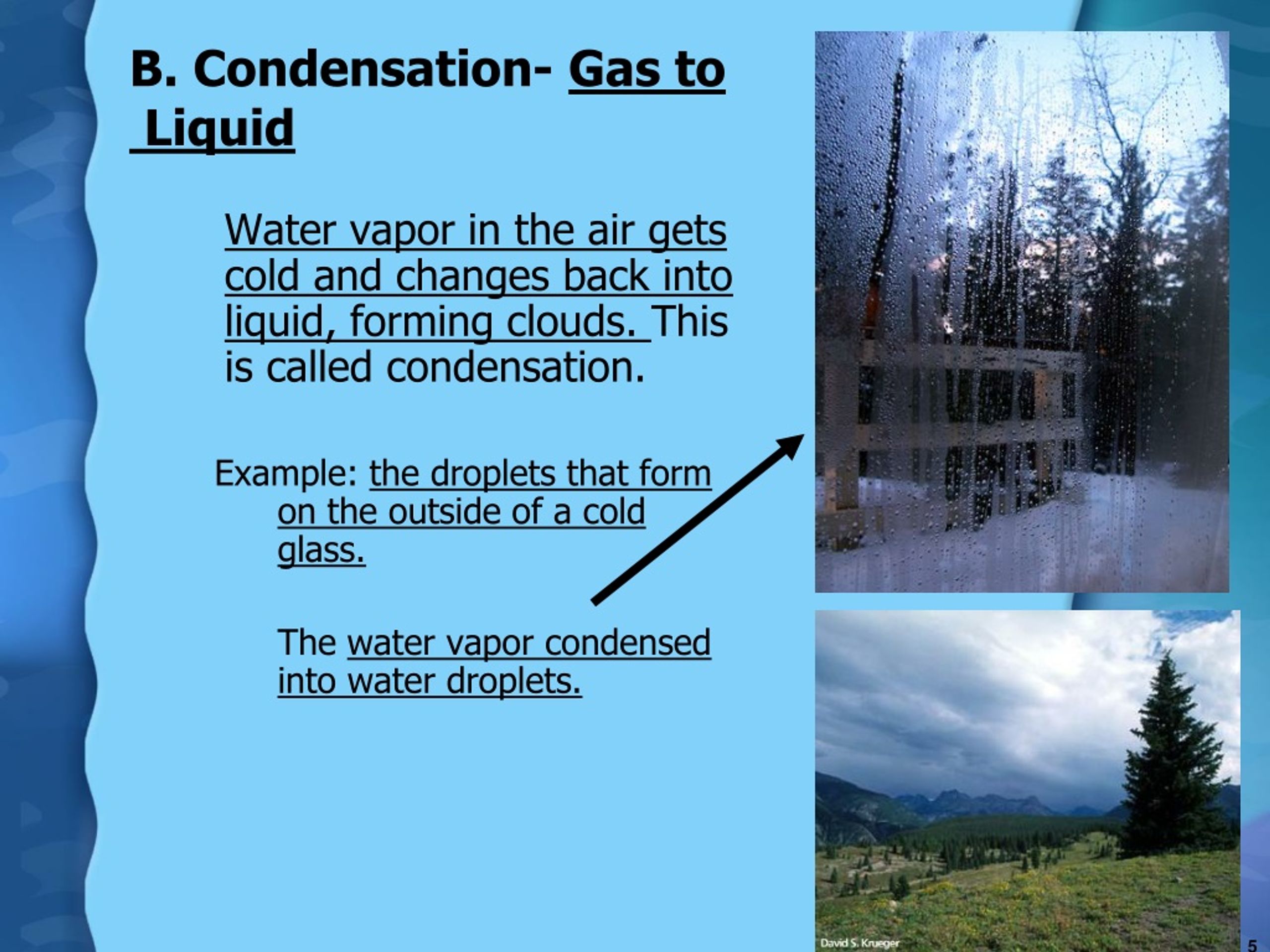 PPT - The Water Cycle - Evaporation, Condensation, Precipitation, and ...