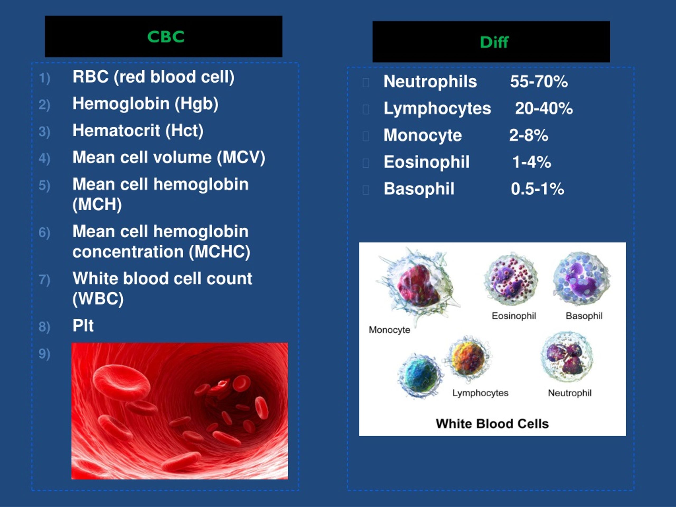 Лейкоциты общие 3 3. CBC/diff 5 фракций лейкоцитов. Клинический анализ крови CBC/diff 5 фракций лейкоцитов СОЭ. Diff формула крови. (CBC/diff - 5 фракций лейкоцитов) Ситилаб.