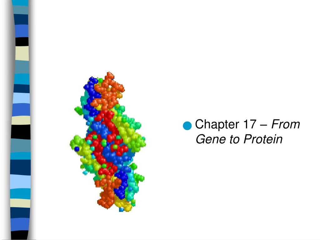 PPT - Chapter 17 – From Gene To Protein PowerPoint Presentation, Free ...