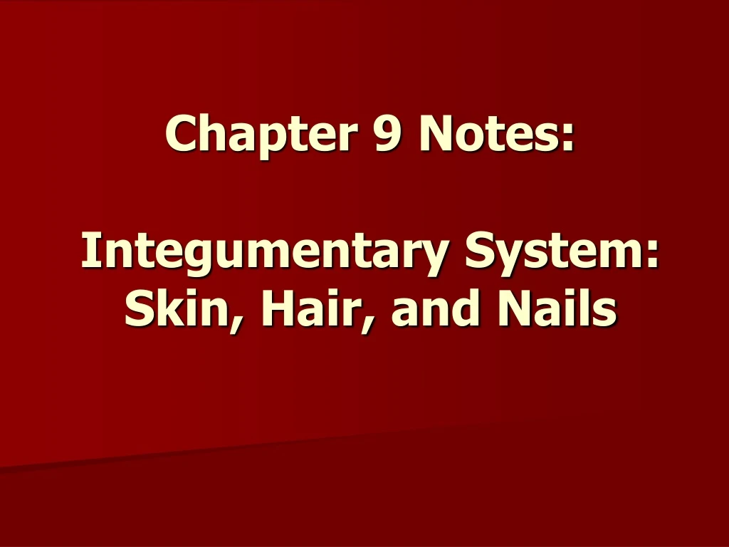 Ppt Chapter 9 Notes Integumentary System Skin Hair And Nails