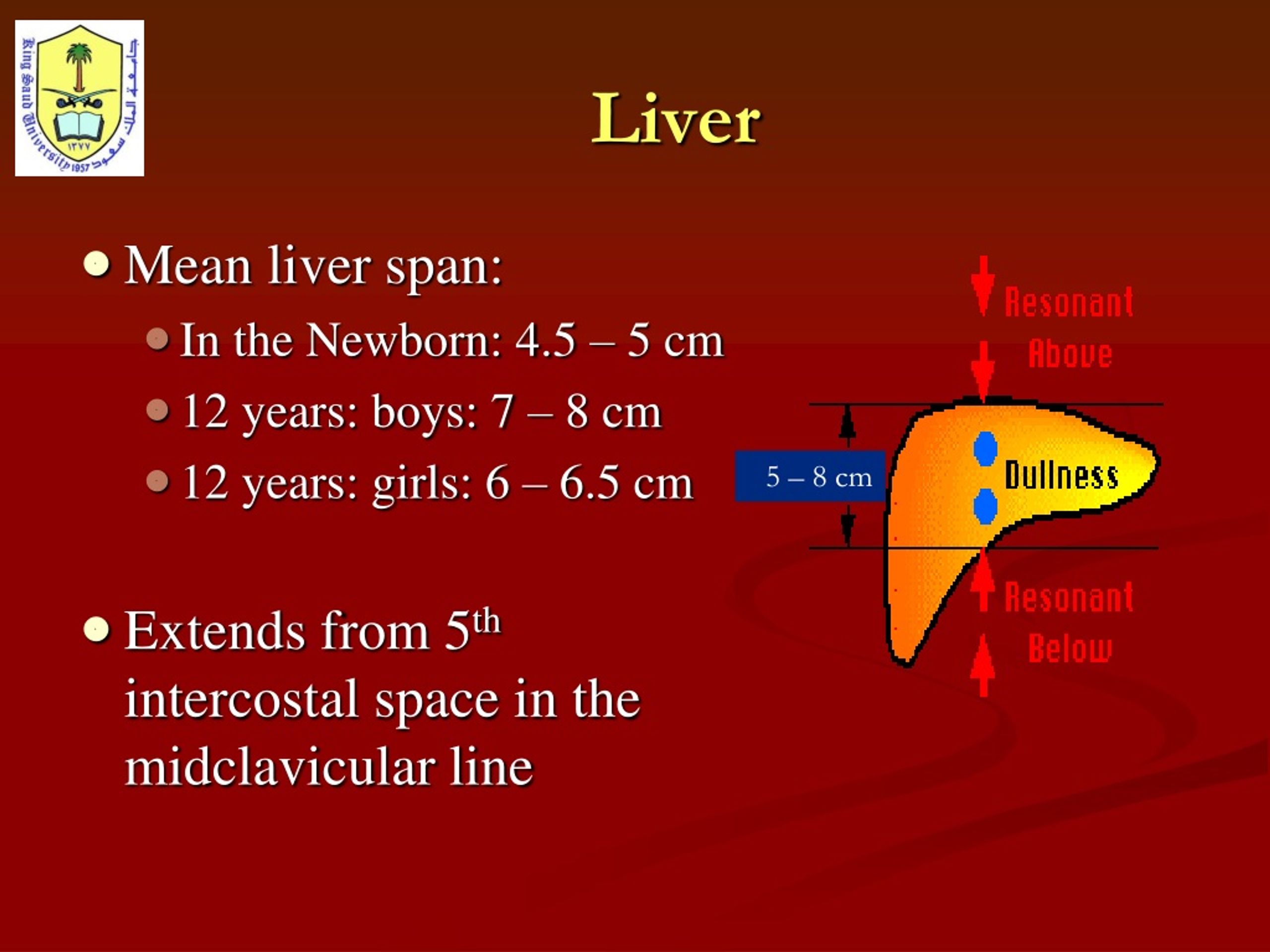 PPT Hepatosplenomegaly PowerPoint Presentation Free Download ID 