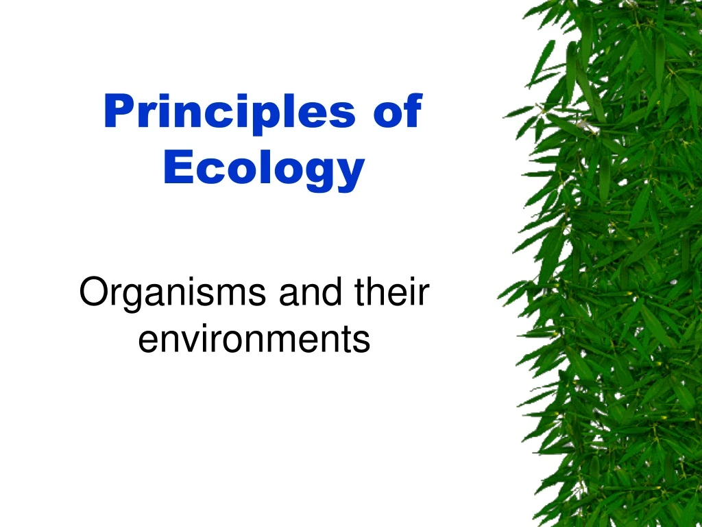 principles of ecology n.