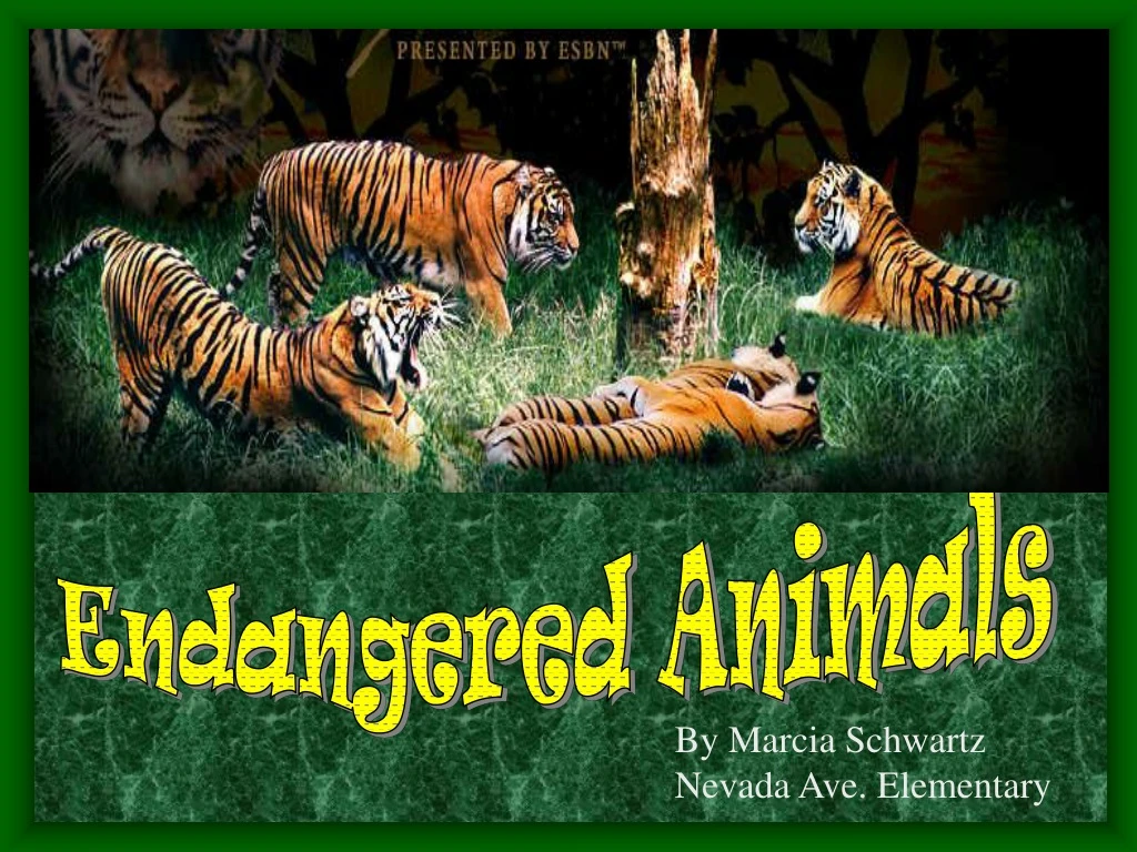 powerpoint presentation about endangered animals