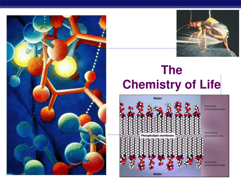the chemistry of life n.